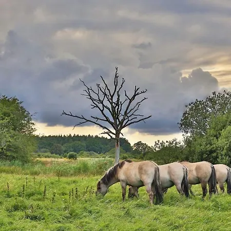 Dom wakacyjny Hof Goosend - Urlaub An Der Ostsee & Schlei