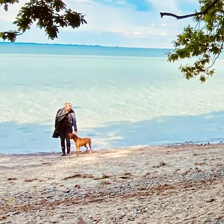 Hof Goosend - Urlaub An Der Ostsee & Schlei * Gelting