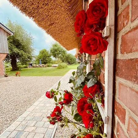 Hof Goosend - Urlaub An Der Ostsee & Schlei